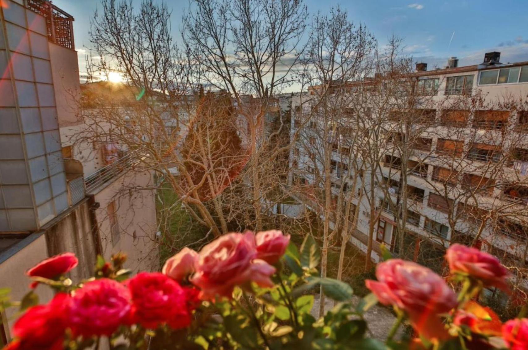 Bel Canto Split Buitenkant foto